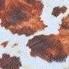 Cowhide to Black
