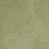 HC Olive to Black